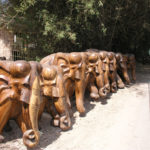 Elephants en teck-Yangoon-Birmanie-2004