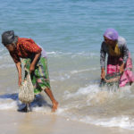 Pecheuses de coquillages-Sengigi-Lombok -2011