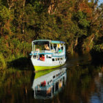 Sur la riviere à Tanjung Puting-Kalimantan-2010