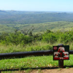 Hluhluwe Game Reserve-Kwazulu Natal-Afrique du Sud-Mars 2017